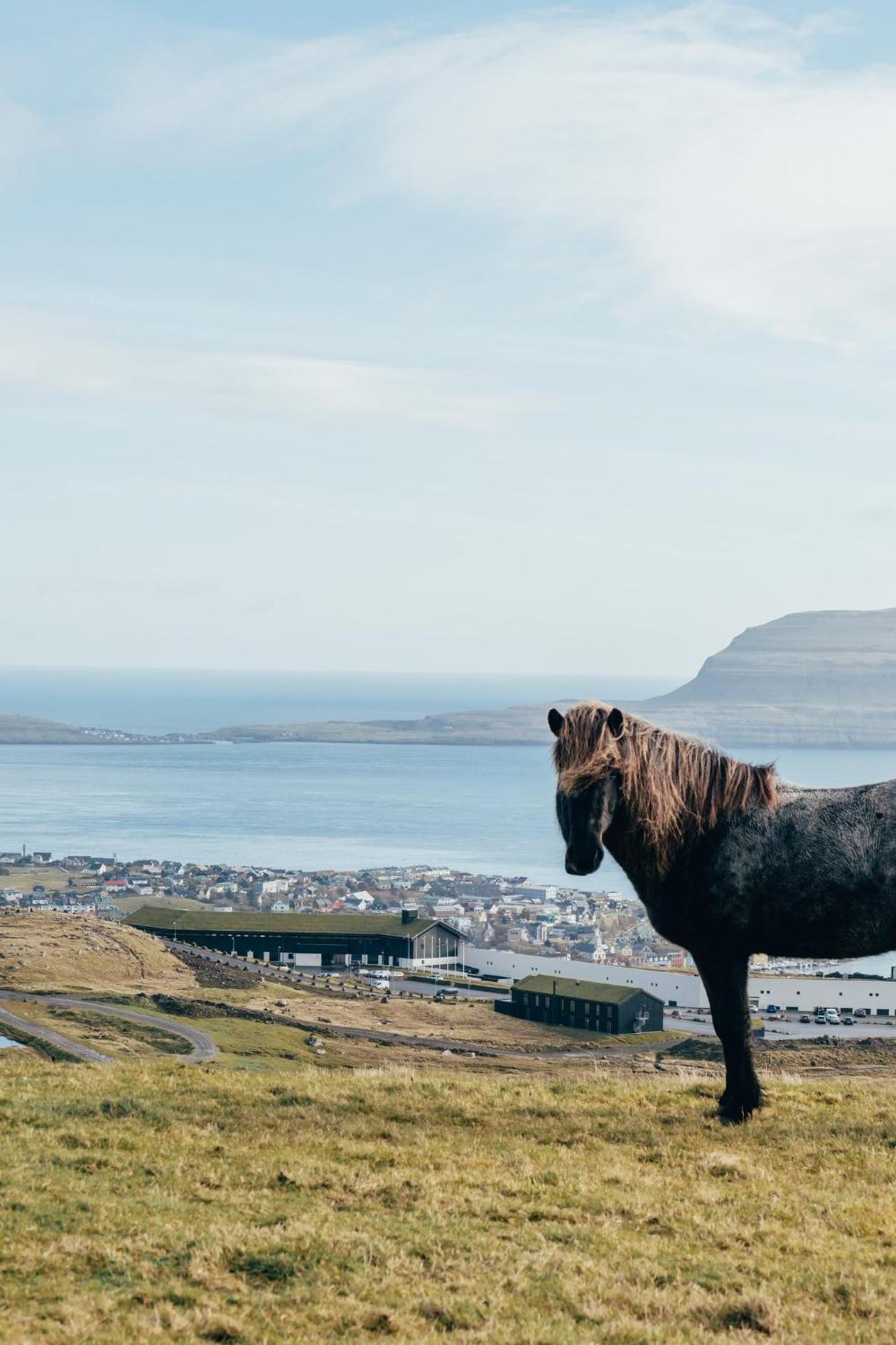 Hotel Foroyar Torshavn Bagian luar foto